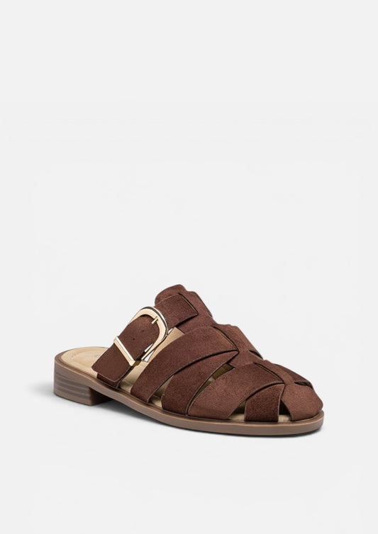 Chinelo DUNE C-Castanho